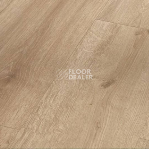 Ламинат Parador Basic Plus 600 XS 1593841 Дуб Шлифованный фото 1 | FLOORDEALER